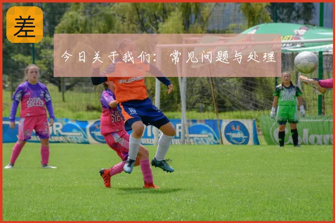 今日关于我们：常见问题与处理